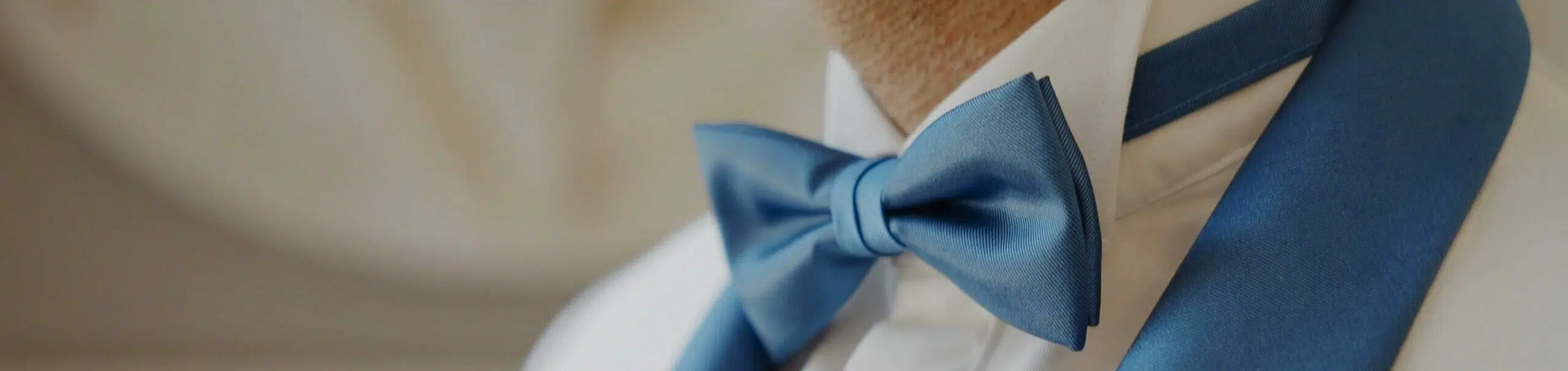 Noeud papillon mariage